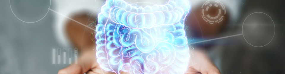 Doctor and holographic bowel scan projection with vital signs and medical records. Concept of new technologies, body scan, digital x-ray, abdominal organs, modern medicine